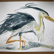Mon projet du cours : Aquarelles naturalistes expressives avec du caractère. Traditional illustration, Naturalistic Illustration, and Watercolor Painting project by Marie-Justine Roy - 10.28.2021