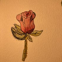 My project in Botanical Watercolor Sketchbook course. Projekt z dziedziny Trad, c, jna ilustracja, Malowanie akwarelą, R, sunek botaniczn i Sketchbook użytkownika Bala Konuskan - 04.11.2021