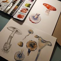 My project in Botanical Watercolor Sketchbook course. Projekt z dziedziny Trad, c, jna ilustracja, Malowanie akwarelą, R, sunek botaniczn i Sketchbook użytkownika Małgorzata Borkowska - 06.11.2021