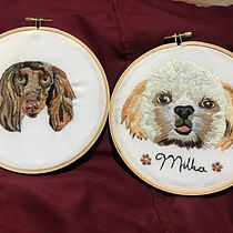 Mi Proyecto del curso: Needle painting para principiantes. Embroider, and Naturalistic Illustration project by Melany Román - 11.03.2021