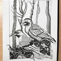 My project in Dip Pen and Ink Illustration: Capturing The Natural World course. Een project van  Schetsen,  Tekening,  Artistieke tekening, Sketchbook,  Illustratie met inkt y Naturalistische illustratie van Robert Taul - 19.08.1989