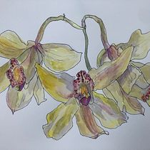 My project in Botanical Sketchbooking: A Meditative Approach course. Ilustração tradicional, Esboçado, Desenho, Pintura em aquarela, Ilustração botânica, e Sketchbook projeto de Janet Evans - 11.11.2021