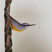 My project in Artistic Watercolor Techniques for Illustrating Birds course. Traditional illustration, Watercolor Painting, Realistic Drawing, and Naturalistic Illustration project by marie makiko - 11.08.2021
