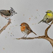 My project in Artistic Watercolor Techniques for Illustrating Birds course. Traditional illustration, Watercolor Painting, Realistic Drawing, and Naturalistic Illustration project by martagalofrealos - 11.08.2021