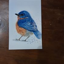 My project in Artistic Watercolor Techniques for Illustrating Birds. Traditional illustration, Watercolor Painting, Realistic Drawing, and Naturalistic Illustration project by Christine Hyde - 11.03.2021