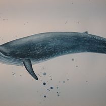 My project in Naturalist Illustration Techniques: Whales in Watercolor course. Un progetto di Illustrazione tradizionale, Design di poster , Illustrazione digitale e Manga di Małgorzata Borkowska - 09.11.2021