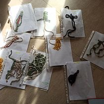 Il mio progetto del corso: Campionario di nodi in macramè. Un progetto di Design di accessori, Artigianato, Fiber Art e Macramè di Francesca Perrone - 09.11.2021