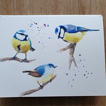 My final project: Trio of birds. Traditional illustration, Watercolor Painting, Realistic Drawing, and Naturalistic Illustration project by estolz22 - 11.10.2021