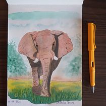 Mi Proyecto del curso: Técnicas experimentales de acuarela para principiantes . Un progetto di Illustrazione tradizionale, Belle arti, Pittura ad acquerello e Illustrazione naturalistica di Nathalia Freire Iturriaga - 11.11.2021