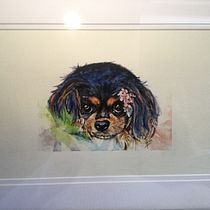 My project in Expressive Animal Portraits in Watercolor course. Un projet de Illustration traditionnelle, Aquarelle, Dessin réaliste et Illustration naturaliste de emkongas - 12.11.2021