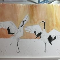 My project in Artistic Watercolor Techniques for Illustrating Birds course. Traditional illustration, Watercolor Painting, Realistic Drawing, and Naturalistic Illustration project by Susan Pepper - 11.12.2021