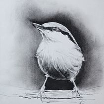 My project in Artistic Watercolor Techniques for Illustrating Birds course. Traditional illustration, Watercolor Painting, Realistic Drawing, and Naturalistic Illustration project by Kristin Herman - 12.01.2021
