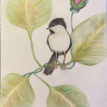 Mon projet du cours : Illustration surréaliste inspirée par la nature. Traditional illustration, Pencil Drawing, Drawing, Artistic Drawing, and Naturalistic Illustration project by Karine - 11.14.2021