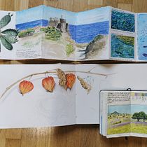 Il mio progetto del corso: Diario naturalista ad acquerello. Traditional illustration, Watercolor Painting, Botanical Illustration, Sketchbook, and Naturalistic Illustration project by Stefania Capelli - 11.14.2021