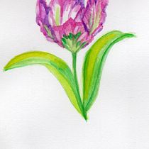 Meu projeto do curso: Ilustração de elementos naturais em aquarela. Un progetto di Illustrazione tradizionale, Illustrazione naturalistica e Pittura ad acquerello di Simone Gomes Siqueira - 14.11.2021