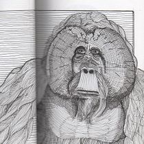 Meu projeto do curso: Ilustração com tinta e bico de pena: registre o mundo natural. Een project van  Schetsen,  Tekening,  Artistieke tekening, Sketchbook,  Illustratie met inkt y Naturalistische illustratie van pivato - 14.11.2021
