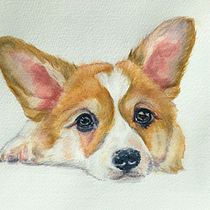 My project in Expressive Animal Portraits in Watercolor course. Un projet de Illustration traditionnelle, Aquarelle, Dessin réaliste et Illustration naturaliste de Michela Gissi - 14.11.2022