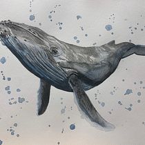 My project in Naturalist Illustration Techniques: Whales in Watercolor course. Ilustração tradicional, Design de cartaz, Ilustração digital, e Mangá projeto de Helen McWhinnie - 15.11.2021
