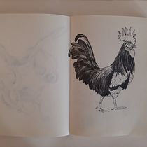 Il mio progetto del corso: Sketching quotidiano sul mondo animale.. Traditional illustration, Sketching, Creativit, Drawing, and Sketchbook project by seforasalerno - 11.15.2021