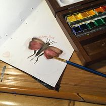 My project in Naturalist Journaling with Watercolor course. Traditional illustration, Watercolor Painting, Botanical Illustration, Sketchbook, and Naturalistic Illustration project by ariellakaur - 11.15.2021