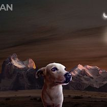 Meu projeto do curso: Segredos da fotomontagem e do retoque criativo. Photograph, Photograph, Post-production, VFX, Photo Retouching, Fine-Art Photograph, Photographic Composition, and Photomontage project by Fabio Gomes - 11.15.2021