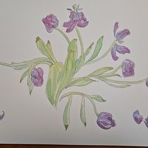 My project in Botanical Sketchbooking: A Meditative Approach course. Ilustração tradicional, Esboçado, Desenho, Pintura em aquarela, Ilustração botânica, e Sketchbook projeto de Lee-Fay Low - 19.10.2021