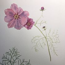 My project in Botanical Watercolor: Illustrate the Anatomy of Flowers course. Un progetto di Illustrazione tradizionale, Belle arti, Pittura, Disegno, Pittura ad acquerello e Illustrazione botanica di Cindy Faulkner - 12.11.2021