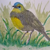 My project in Artistic Watercolor Techniques for Illustrating Birds course. Traditional illustration, Watercolor Painting, Realistic Drawing, and Naturalistic Illustration project by Freda Coetzee - 11.17.2021
