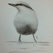My project in Artistic Watercolor Techniques for Illustrating Birds course. Traditional illustration, Watercolor Painting, Realistic Drawing, and Naturalistic Illustration project by Hannah - 11.17.2021