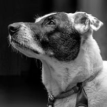 Mancha . % Edvaldo Narciso Rodrigues tarafından hazırlanan Fotoğrafçılık, Portre Fotoğrafçılığı, Instagram Fotoğrafçılığı, Belgesel Fotoğrafçılık, Ve Yaşam Tarzı Fotoğrafçılığı projesi - 11.18.2021