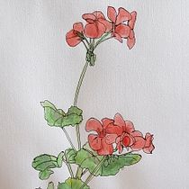 My project in Botanical Sketchbooking: A Meditative Approach course. Ilustração tradicional, Esboçado, Desenho, Pintura em aquarela, Ilustração botânica, e Sketchbook projeto de lucettehindin - 19.11.2021