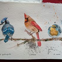 Il mio progetto del corso: Acquerello artistico per illustrazione di animali: gli uccelli. Traditional illustration, Watercolor Painting, Realistic Drawing, and Naturalistic Illustration project by sagu1961 - 11.17.2021