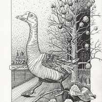My project in Dip Pen and Ink Illustration: Capturing The Natural World course. Een project van  Schetsen,  Tekening,  Artistieke tekening, Sketchbook,  Illustratie met inkt y Naturalistische illustratie van Svetlana Volchak - 19.11.2021