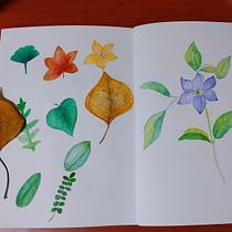 My project in Botanical Watercolor Sketchbook course. Projekt z dziedziny Trad, c, jna ilustracja, Malowanie akwarelą, R, sunek botaniczn i Sketchbook użytkownika Yung-Shan Zhao - 20.11.2021
