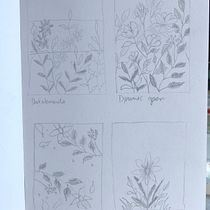 My project in Artistic Floral Watercolor: Connect with Nature course. Ilustração tradicional, Pintura, Pintura em aquarela e Ilustração botânica projeto de Lisa Jane - 20.11.2021
