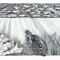 My project in Dip Pen and Ink Illustration: Capturing The Natural World course. Een project van  Schetsen,  Tekening,  Artistieke tekening, Sketchbook,  Illustratie met inkt y Naturalistische illustratie van mcpaan - 21.11.2021
