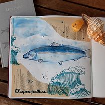 Mein Kursprojekt: Tierillustrationen: Bringe das Tierreich in dein Skizzenbuch. Traditional illustration, Collage, Sketchbook, and Naturalistic Illustration project by maggy_kurth - 11.21.2021