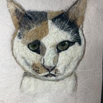 My project in Needle Felting: Paint Portraits with Wool course. Arts, Crafts, Fiber Arts, and Naturalistic Illustration project by Alice Martinez - 11.21.2021
