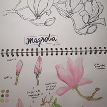 My project in Botanical Watercolor Sketchbook course. Projekt z dziedziny Trad, c, jna ilustracja, Malowanie akwarelą, R, sunek botaniczn i Sketchbook użytkownika anniepatino86 - 21.11.2021