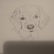 Mi Proyecto del curso: De principiante a superdibujante. Un proyecto de Diseño, Ilustración tradicional, Dibujo a lápiz y Dibujo de pau_4444 - 20.11.2021
