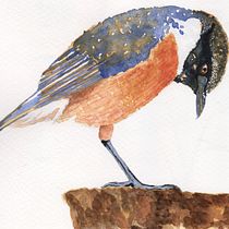 Mi Proyecto del curso: Acuarela artística para ilustración de aves. Traditional illustration, Watercolor Painting, Realistic Drawing, and Naturalistic Illustration project by gburguettem - 11.23.2021