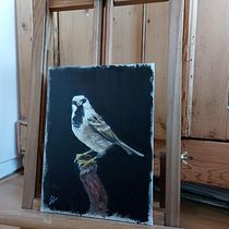 My project in Classical Oil Painting for Naturalist Bird Portraiture course. Fine Arts, Painting, Oil Painting, and Naturalistic Illustration project by Janneke Vrijdag - 11.23.2021