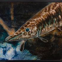 My project in Marine Universe Illustration in Watercolor course. Traditional illustration, Painting, Watercolor Painting, and Naturalistic Illustration project by Zuzana Zachová - 11.23.2021