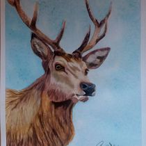 My project in Expressive Animal Portraits in Watercolor course. Un projet de Illustration traditionnelle, Aquarelle, Dessin réaliste et Illustration naturaliste de Carmen Davalos - 23.11.2021