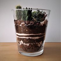 Arte vegetal: terrario abierto. Interior Design, L, scape Architecture, Decoration, DIY, Floral, and Plant Design project by Carmen Iglesias - 11.25.2021