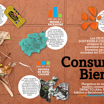 Mi Proyecto del curso: Infografía creativa: entre arte y periodismo. Information Design, Infographics, and Communication project by luisecheverriaturres - 12.05.2021