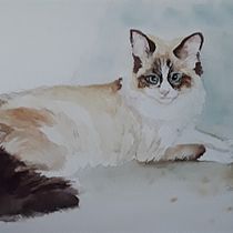 My project in Expressive Animal Portraits in Watercolor course. Un projet de Illustration traditionnelle, Aquarelle, Dessin réaliste, Illustration naturaliste , et Peinture de Wietske Wies Heijboer-Warnders - 25.11.2021