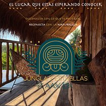 Jungla y Estrellas K AAX EK . Writing, Cop, writing, Social Media, Creativit, Digital Marketing, and Narrative project by Sofi Lara - 11.20.2021