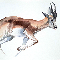My project in Expressive Animal Portraits in Watercolor course. Un projet de Illustration traditionnelle, Aquarelle, Dessin réaliste et Illustration naturaliste de Angelina Bayer - 26.11.2021