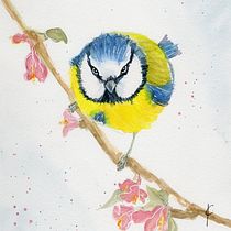 Mein Kursprojekt: Illustriere Vögel mit expressiven Aquarelltechniken. Traditional illustration, Watercolor Painting, Realistic Drawing, and Naturalistic Illustration project by Jasmin C - 11.26.2021